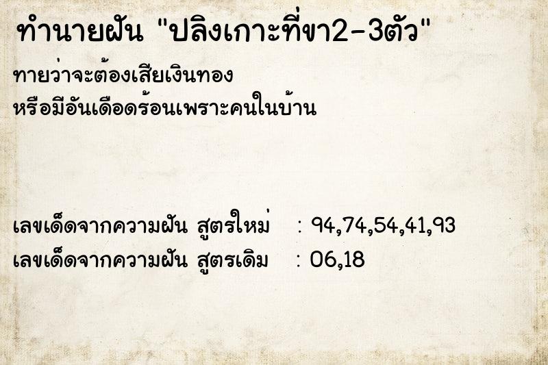 ทำนายฝันปลิงเกาะที่ขา2-3ตัว ทำนายฝันทำนายฝันปลิงเกาะที่ขา2-3ตัว