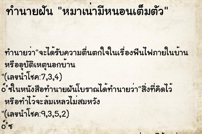 ทำนายฝัน หมาเน่ามีหนอนเต็มตัว