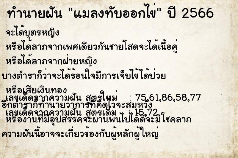 ทำนายฝัน แมลงทับออกไข่ ทำนายฝัน แมลงทับออกไข่