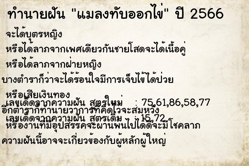 ทำนายฝัน แมลงทับออกไข่ ตำราโบราณ แม่นที่สุดในโลก