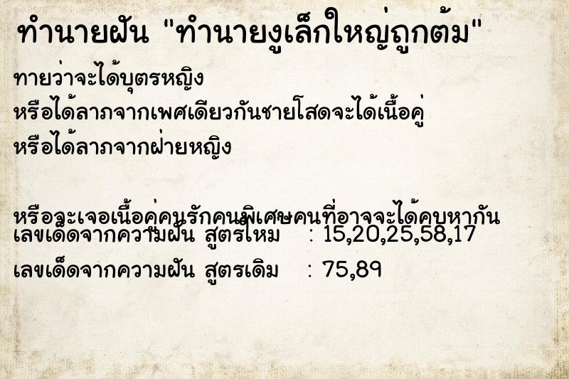 ทำนายฝันทำนายงูเล็กใหญ่ถูกต้ม ทำนายฝันทำนายฝันทำนายงูเล็กใหญ่ถูกต้ม