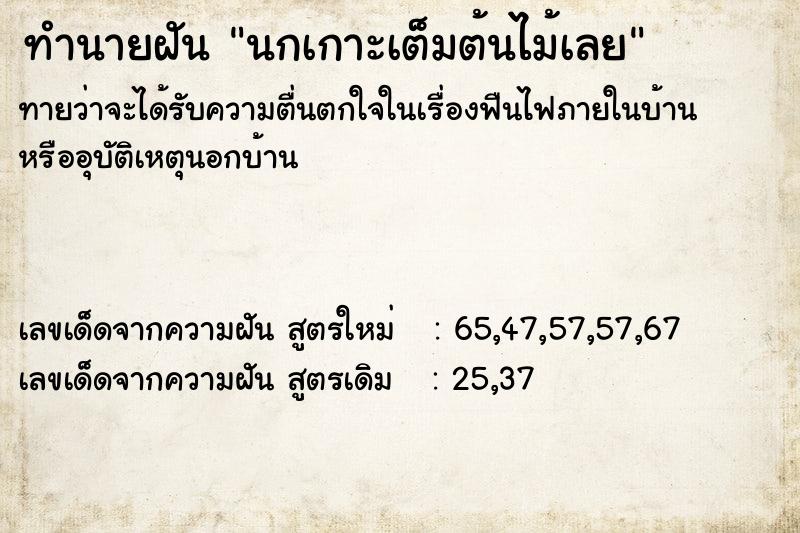 ทำนายฝันนกเกาะเต็มต้นไม้เลย ทำนายฝันทำนายฝันนกเกาะเต็มต้นไม้เลย