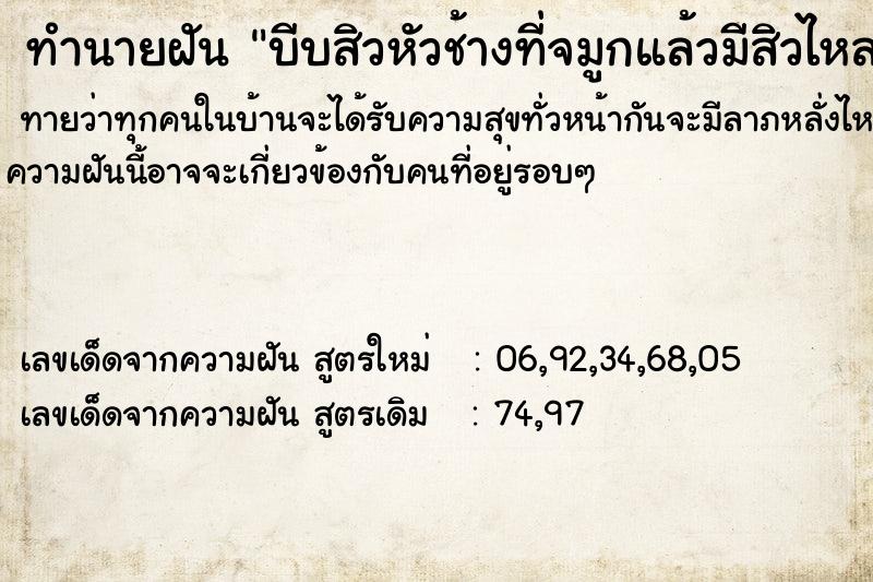 ทำนายฝันทำนายฝันบีบสิวหัวช้างที่จมูกแล้วมีสิวไหลออกมาก