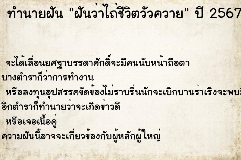 ทำนายฝันฝันว่าไถ่ชีวิตวัวควาย ทำนายฝันทำนายฝันฝันว่าไถ่ชีวิตวัวควาย