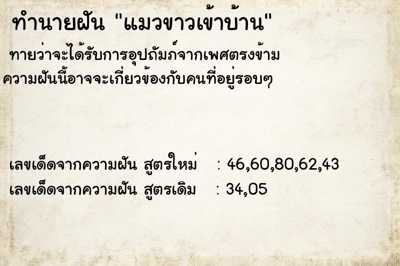 ทำนายฝันทำนายฝันแมวขาวเข้าบ้าน