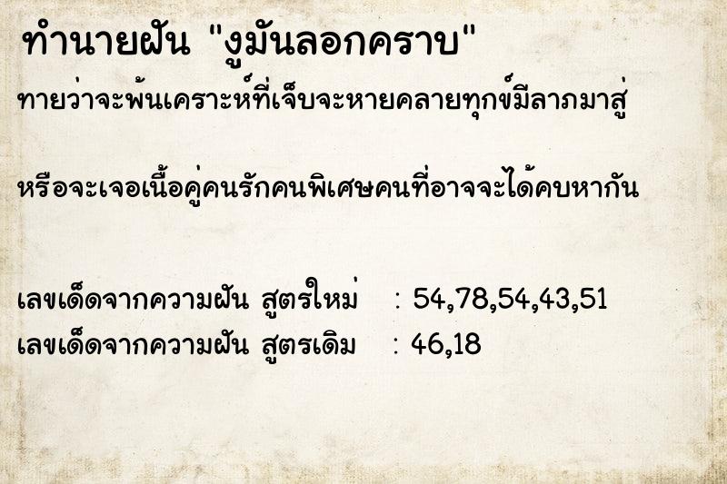 ทำนายฝัน งูมันลอกคราบ ทำนายฝัน งูมันลอกคราบ
