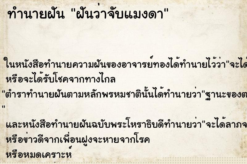 ทำนายฝันฝันว่าจับแมงดา ทำนายฝันทำนายฝันฝันว่าจับแมงดา