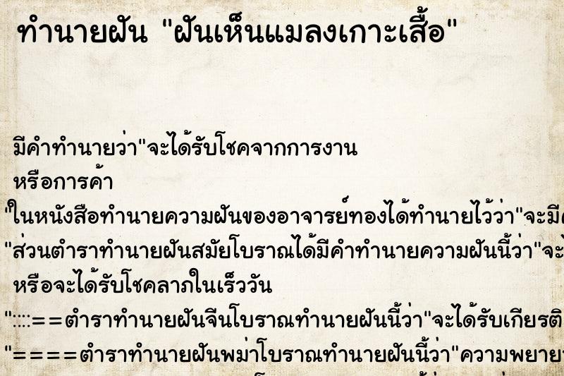 ทำนายฝัน ฝันเห็นแมลงเกาะเสื้อ ทำนายฝัน ฝันเห็นแมลงเกาะเสื้อ