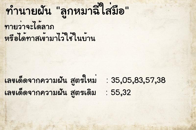 ทำนายฝันลูกหมาฉี่ใส่มือ ทำนายฝันทำนายฝันลูกหมาฉี่ใส่มือ