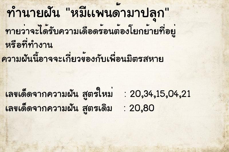 ทำนายฝันทำนายฝันหมีเเพนด้ามาปลุก