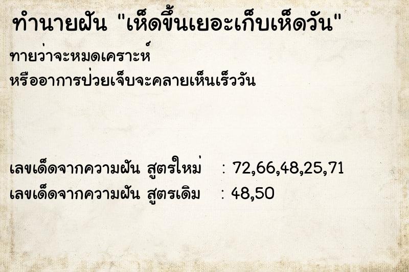 ทำนายฝัน เห็ดขึ้นเยอะเก็บเห็ดวัน