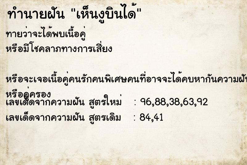 ทำนายฝัน เห็นงูบินได้ ทำนายฝัน เห็นงูบินได้
