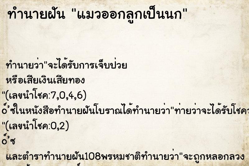 ทำนายฝัน แมวออกลูกเป็นนก