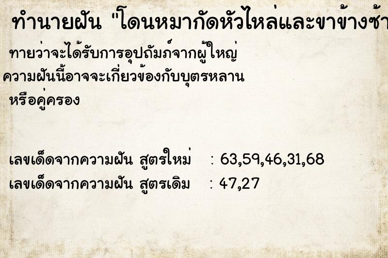 ทำนายฝันโดนหมากัดหัวไหล่และขาข้างซ้าย ทำนายฝันทำนายฝันโดนหมากัดหัวไหล่และขาข้างซ้าย