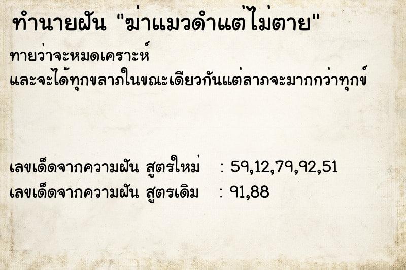 ทำนายฝันฆ่าแมวดำแต่ไม่ตาย ทำนายฝันทำนายฝันฆ่าแมวดำแต่ไม่ตาย