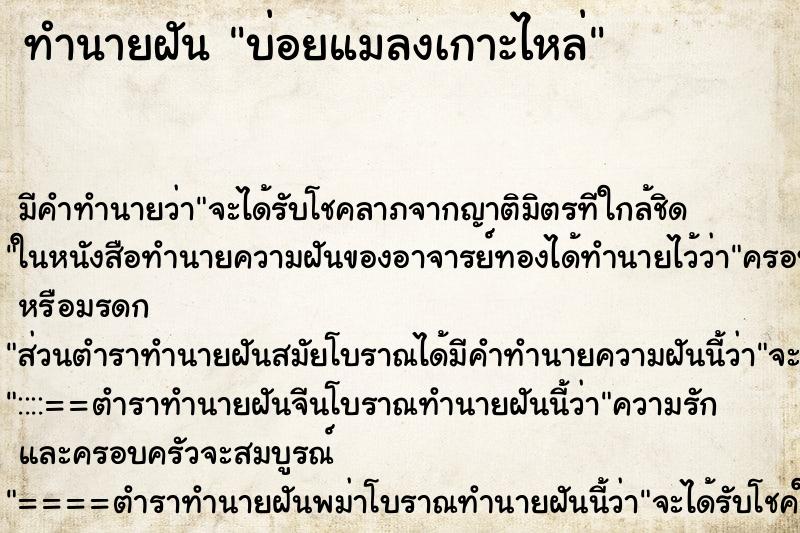 ทำนายฝันบ่อยแมลงเกาะไหล่ ทำนายฝันทำนายฝันบ่อยแมลงเกาะไหล่
