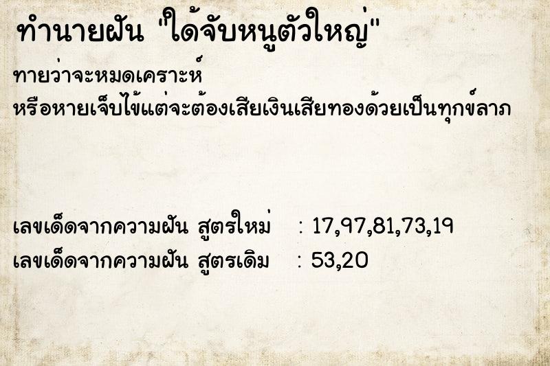 ทำนายฝันทำนายฝันใด้จับหนูตัวใหญ่