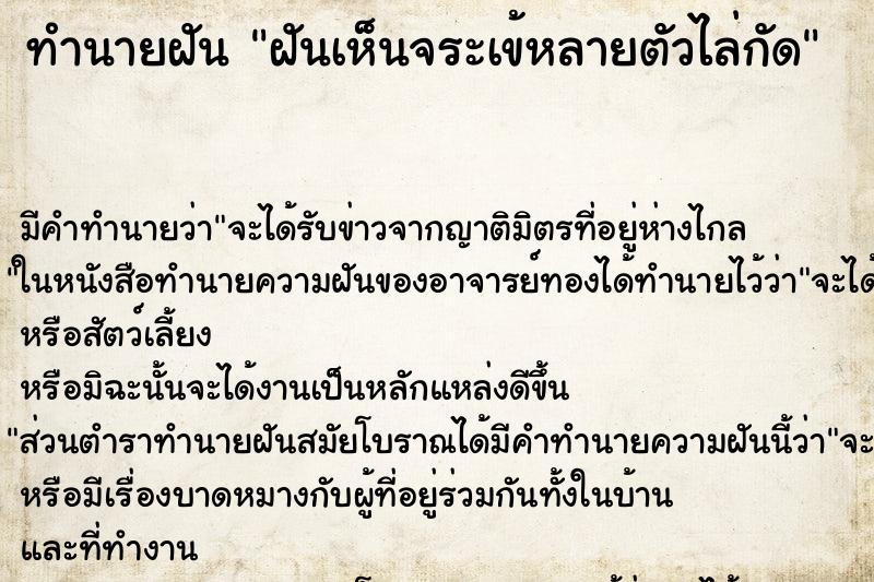 ทำนายฝันฝันเห็นจระเข้หลายตัวไล่กัด ทำนายฝันทำนายฝันฝันเห็นจระเข้หลายตัวไล่กัด