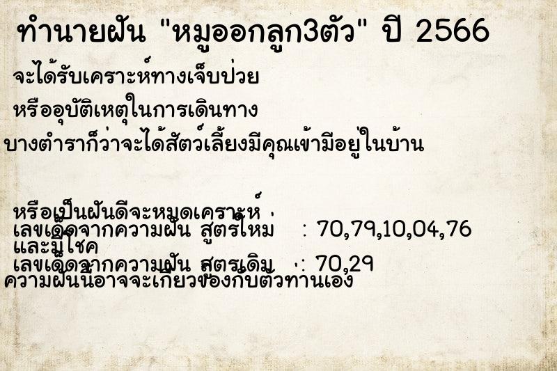ทำนายฝัน หมูออกลูก3ตัว ทำนายฝัน หมูออกลูก3ตัว