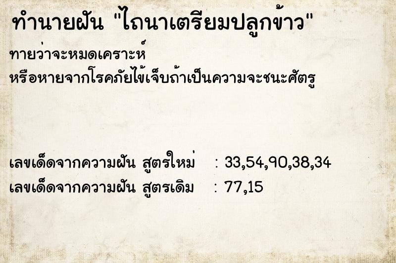 ทำนายฝันทำนายฝันไถนาเตรียมปลูกข้าว