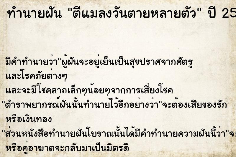 ทำนายฝัน ตีแมลงวันตายหลายตัว ทำนายฝัน ตีแมลงวันตายหลายตัว