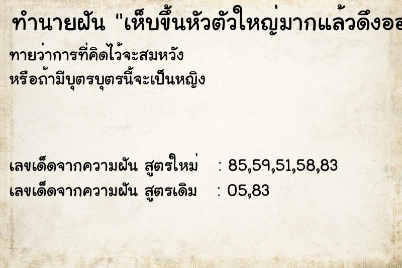 ทำนายฝันเห็บขึ้นหัวตัวใหญ่มากแล้วดึงออก ทำนายฝันทำนายฝันเห็บขึ้นหัวตัวใหญ่มากแล้วดึงออก