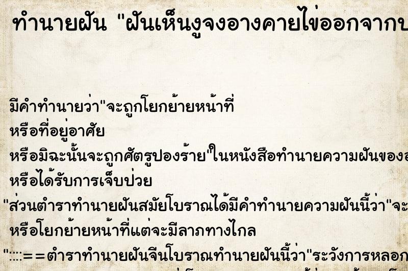 ทำนายฝัน ฝันเห็นงูจงอางคายไข่ออกจากปาก ทำนายฝัน ฝันเห็นงูจงอางคายไข่ออกจากปาก
