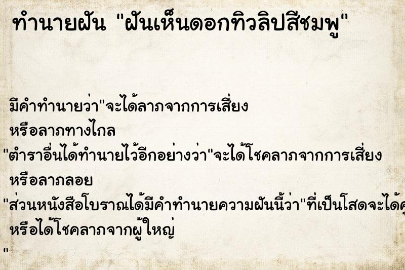 ทำนายฝันฝันเห็นดอกทิวลิปสีชมพู ทำนายฝันทำนายฝันฝันเห็นดอกทิวลิปสีชมพู