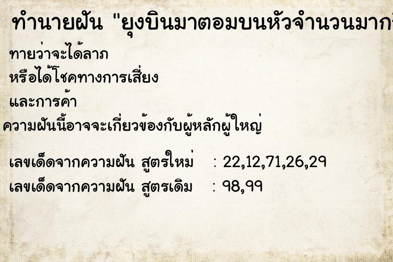 ทำนายฝันยุงบินมาตอมบนหัวจำนวนมากจึงใช้มือตบยุงตาย ทำนายฝันทำนายฝันยุงบินมาตอมบนหัวจำนวนมากจึงใช้มือตบยุงตาย