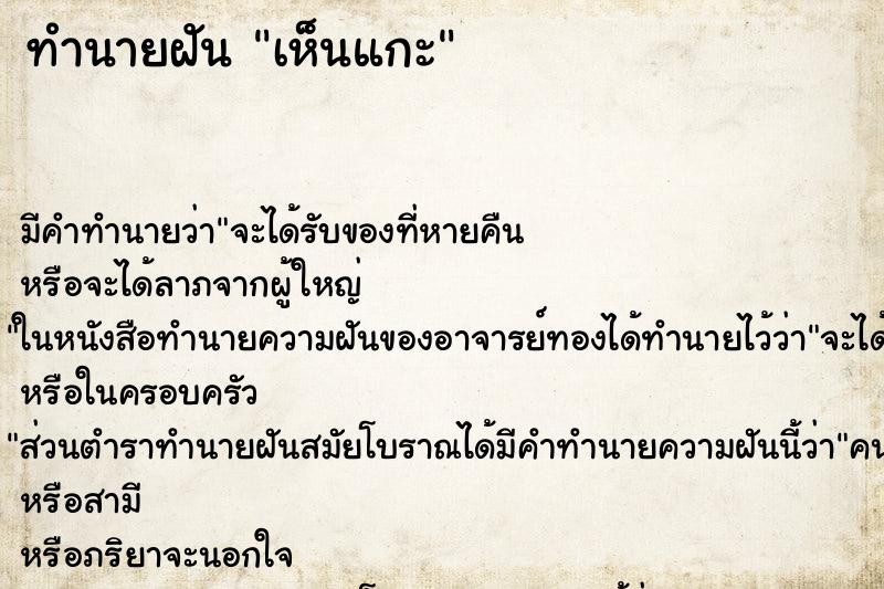 ทำนายฝันเห็นแกะ ทำนายฝันทำนายฝันเห็นแกะ