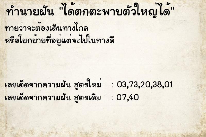 ทำนายฝันได้ตกตะพาบตัวใหญ่ได้ ทำนายฝันทำนายฝันได้ตกตะพาบตัวใหญ่ได้
