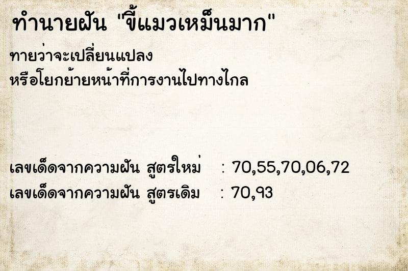 ทำนายฝัน ขี้แมวเหม็นมาก ทำนายฝัน ขี้แมวเหม็นมาก