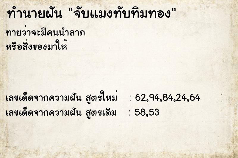 ทำนายฝันจับแมงทับทิมทอง ทำนายฝันทำนายฝันจับแมงทับทิมทอง