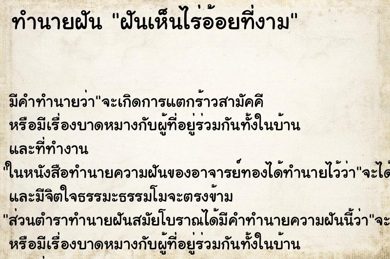 ทำนายฝัน ฝันเห็นไร่อ้อยที่งาม ตำราโบราณ แม่นที่สุดในโลก