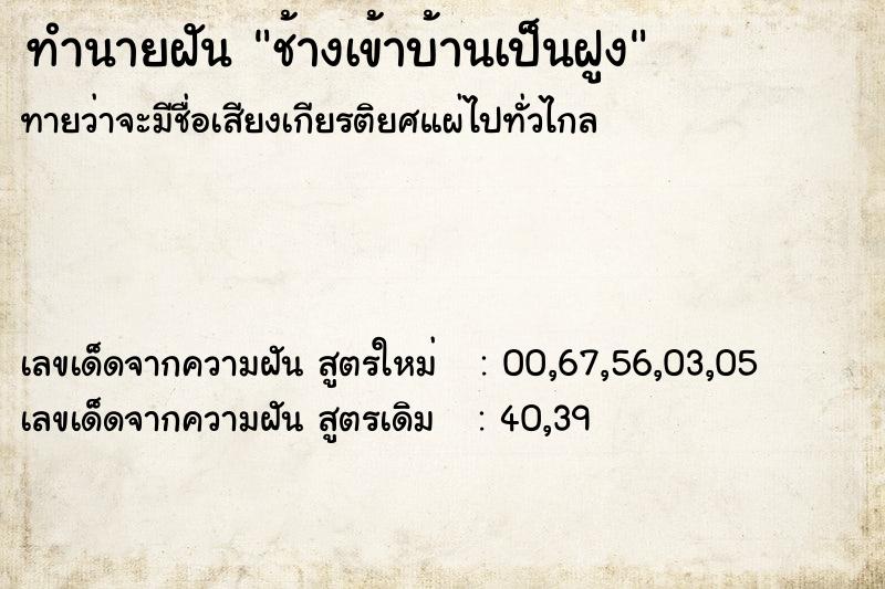 ทำนายฝันช้างเข้าบ้านเป็นฝูง ทำนายฝันทำนายฝันช้างเข้าบ้านเป็นฝูง