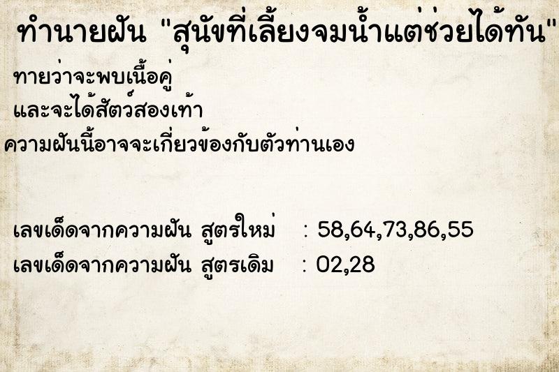 ทำนายฝันสุนัขที่เลี้ยงจมน้ำแต่ช่วยได้ทัน ทำนายฝันทำนายฝันสุนัขที่เลี้ยงจมน้ำแต่ช่วยได้ทัน