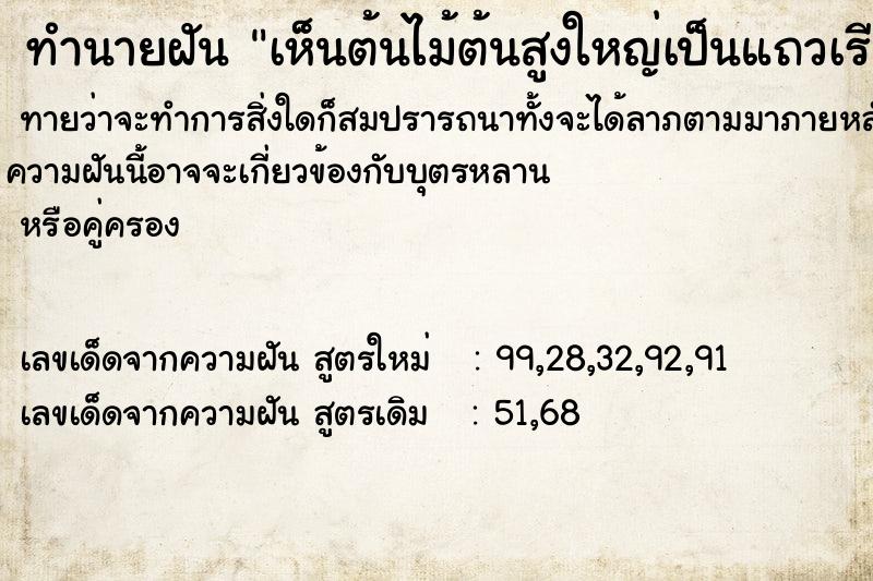 ทำนายฝันทำนายฝันเห็นต้นไม้ต้นสูงใหญ่เป็นแถวเรียงกัน