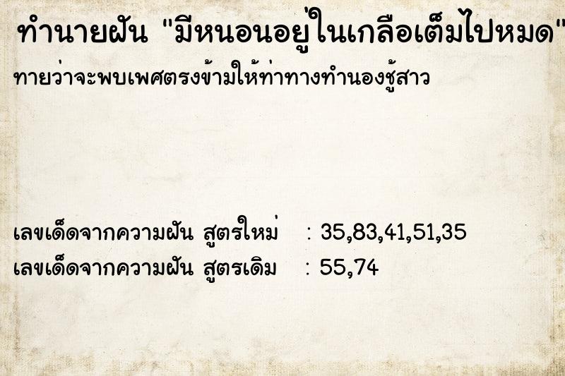 ทำนายฝันทำนายฝันมีหนอนอยู่ในเกลือเต็มไปหมด