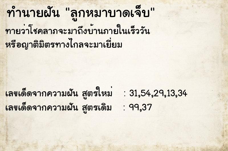 ทำนายฝันทำนายฝันลูกหมาบาดเจ็บ