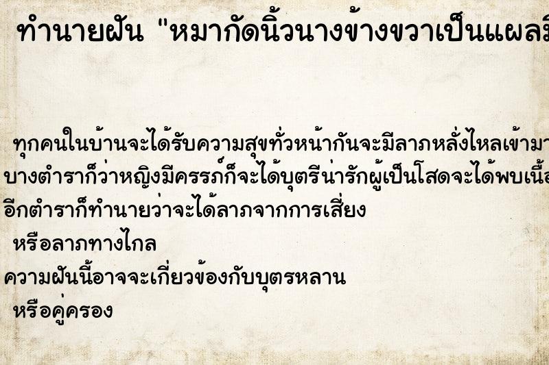 ทำนายฝันหมากัดนิ้วนางข้างขวาเป็นแผลมีเลือดออก ทำนายฝันทำนายฝันหมากัดนิ้วนางข้างขวาเป็นแผลมีเลือดออก