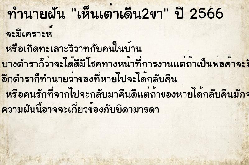 ทำนายฝันทำนายฝันเห็นเต่าเดิน2ขา