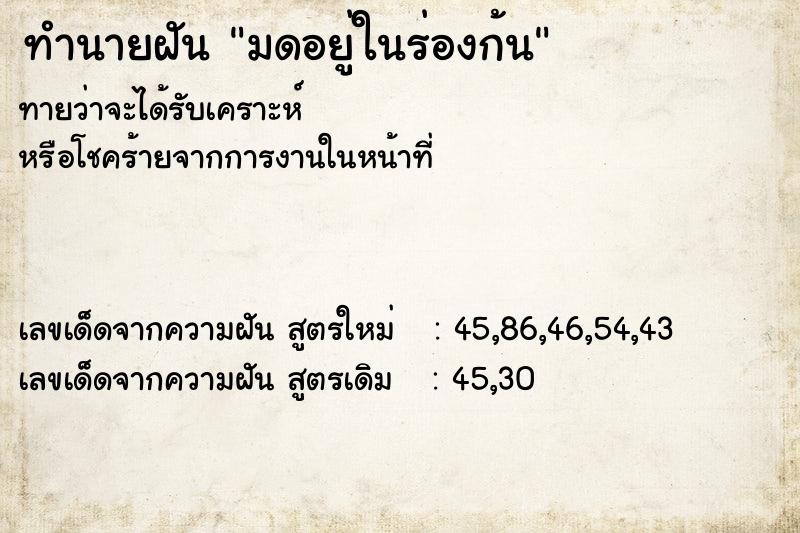 ทำนายฝัน มดอยู่ในร่องก้น ทำนายฝัน มดอยู่ในร่องก้น