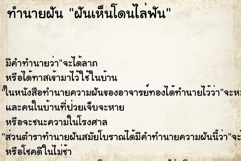 ทำนายฝัน ฝันเห็นโดนไล่ฟัน ทำนายฝัน ฝันเห็นโดนไล่ฟัน