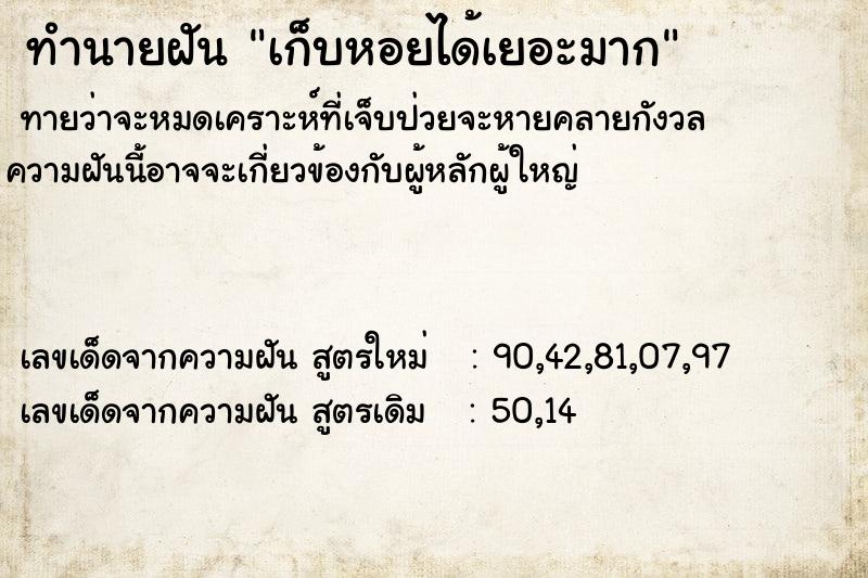 ทำนายฝัน เก็บหอยได้เยอะมาก ทำนายฝัน เก็บหอยได้เยอะมาก
