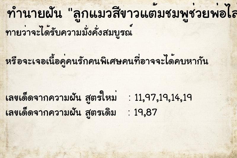 ทำนายฝันทำนายฝันลูกแมวสีขาวแต้มชมพูช่วยพ่อไล่จับงูหางกระดิ่งเผือก