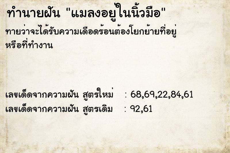 ทำนายฝันทำนายฝันแมลงอยู่ในนิ้วมือ