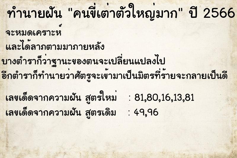 ทำนายฝัน คนขี่เต่าตัวใหญ่มาก ตำราโบราณ แม่นที่สุดในโลก