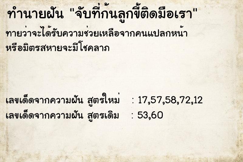 ทำนายฝันจับที่ก้นลูกขี้ติดมือเรา ทำนายฝันทำนายฝันจับที่ก้นลูกขี้ติดมือเรา