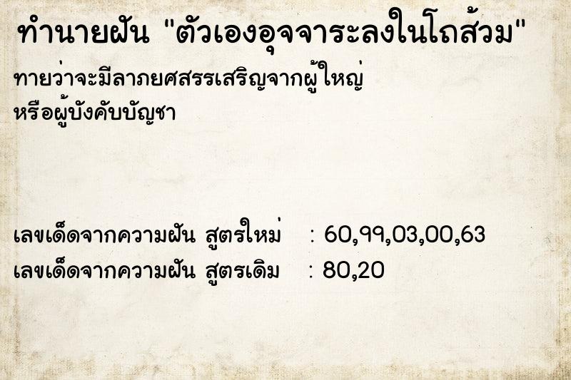 ทำนายฝัน ตัวเองอุจจาระลงในโถส้วม ทำนายฝัน ตัวเองอุจจาระลงในโถส้วม