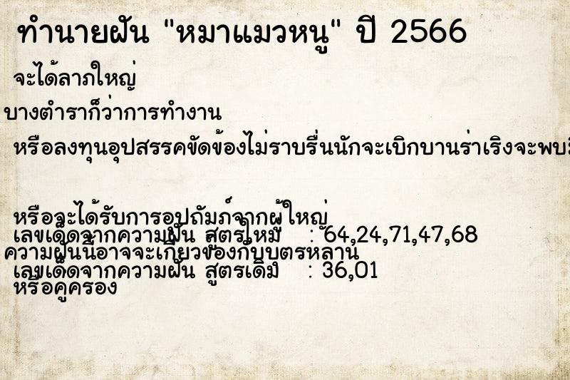 ทำนายฝันหมาแมวหนู ทำนายฝันทำนายฝันหมาแมวหนู